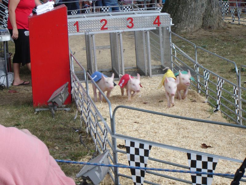 Montgomery County Agricultural Fair, 12 August 2007