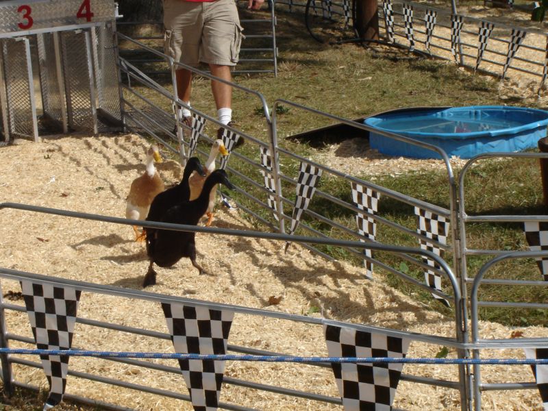 Montgomery County Agricultural Fair, 12 August 2007