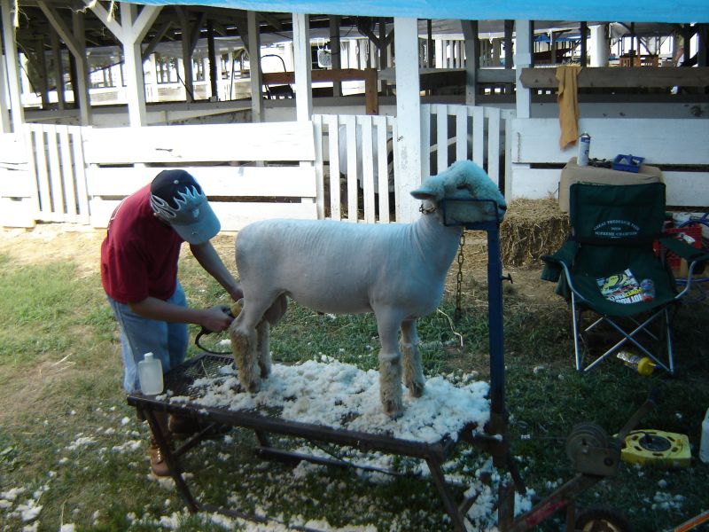 Montgomery County Agricultural Fair, 12 August 2007