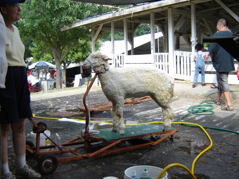 Montgomery County Agricultural Fair, 12 August 2007