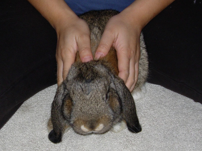 Sniff Bun-Bun Brundage, 12 September 2007