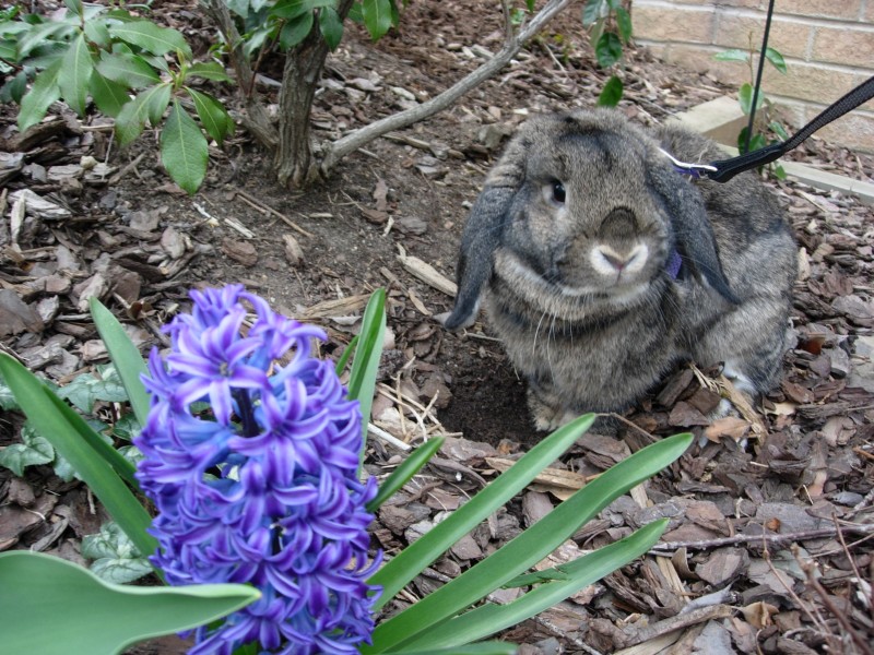 Sniff, March 2008