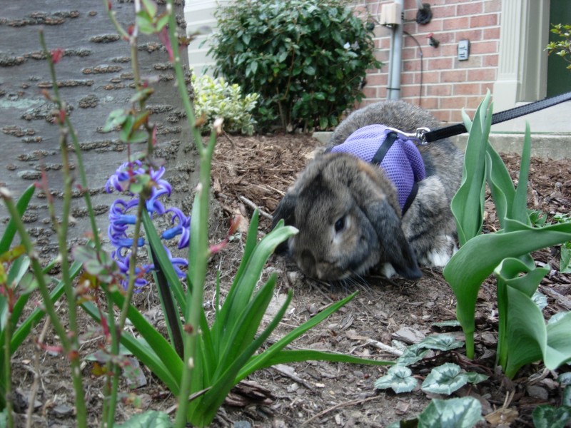 Sniff, March 2008