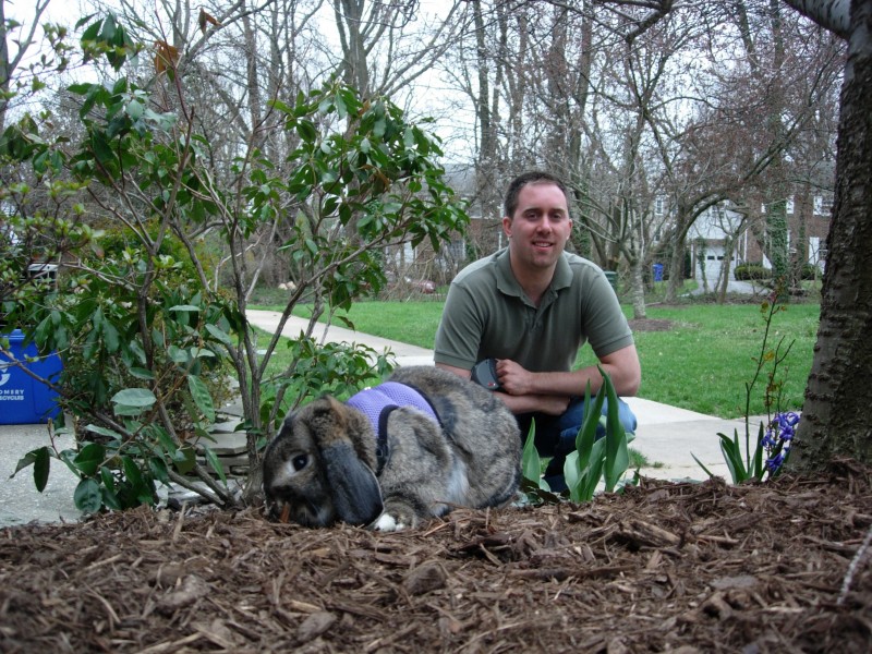 Sniff, March 2008