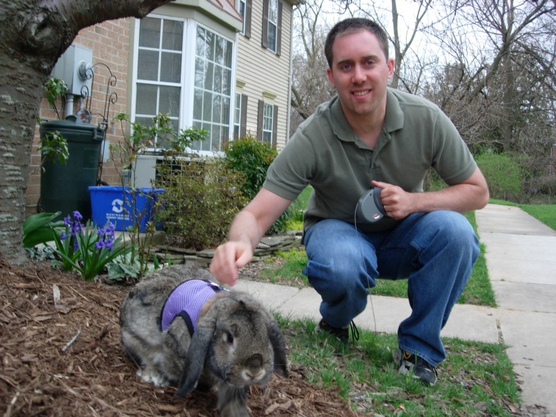 Sniff, March 2008