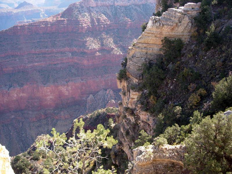 The Grand Canyon and Sedona, October 2008