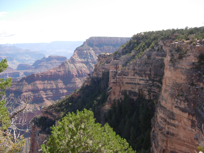 The Grand Canyon and Sedona, October 2008