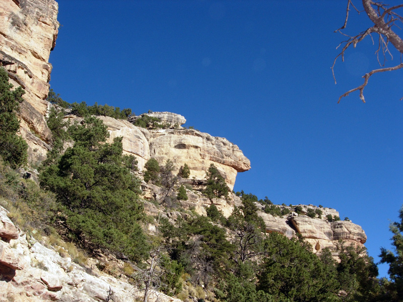 The Grand Canyon and Sedona, October 2008