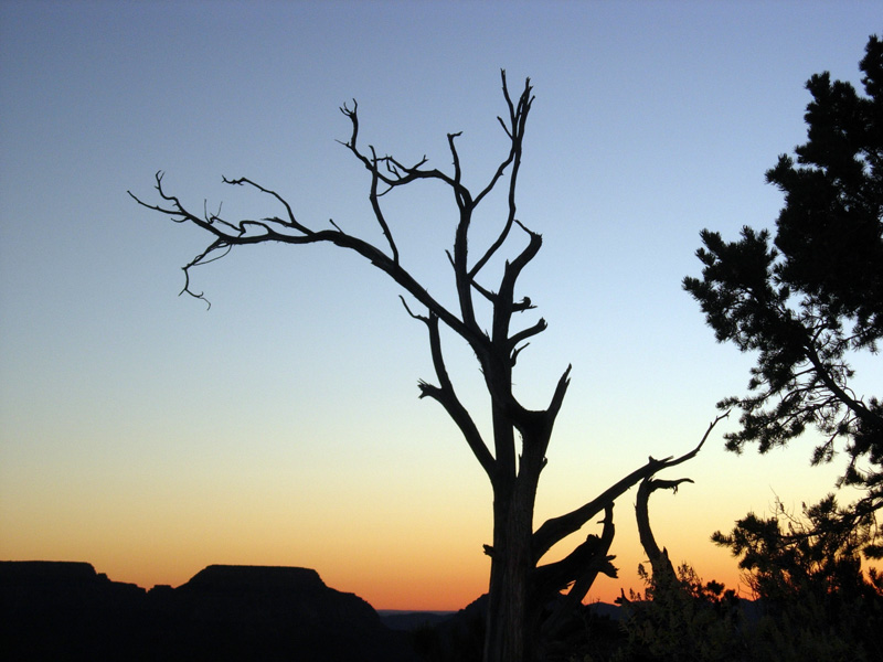 The Grand Canyon and Sedona, October 2008