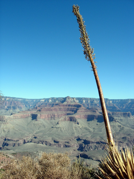 The Grand Canyon and Sedona, October 2008