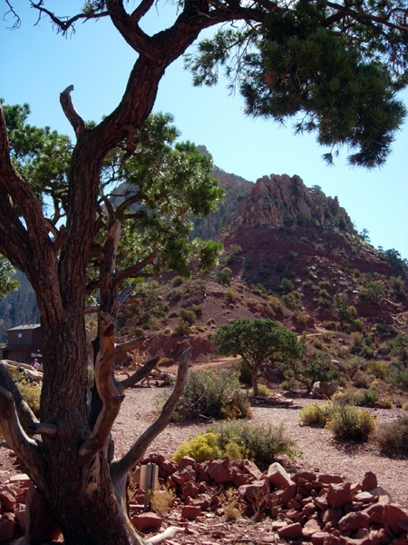 The Grand Canyon and Sedona, October 2008