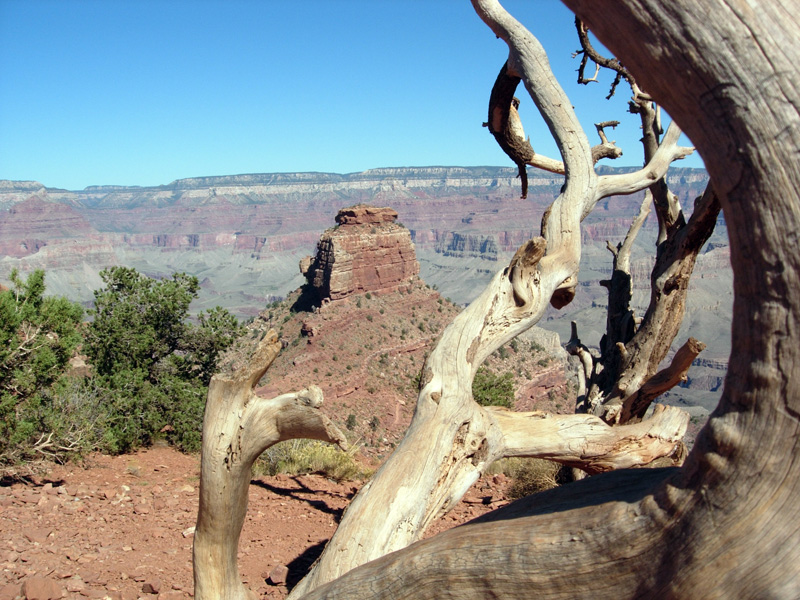 The Grand Canyon and Sedona, October 2008