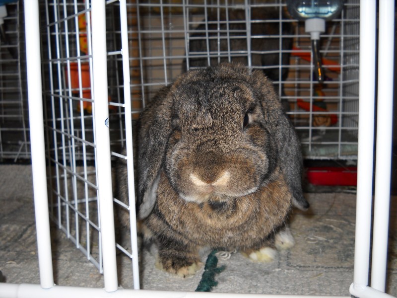 Sniff and Munch: A 2009 Retrospective
