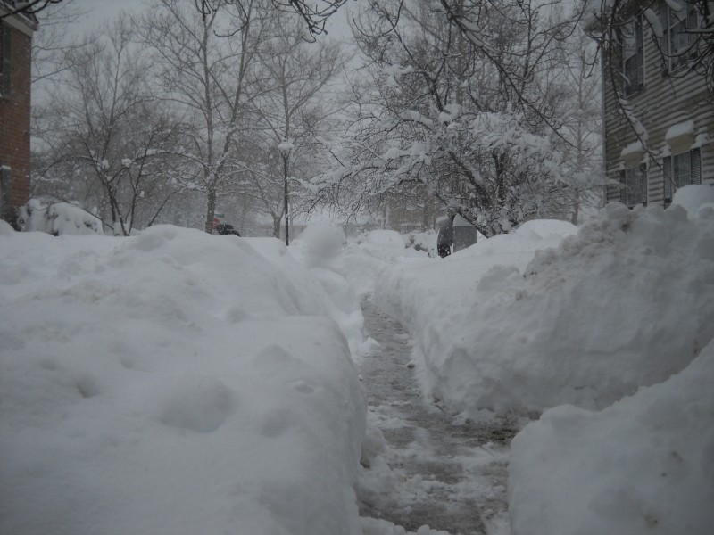 Blizzard of February 2010