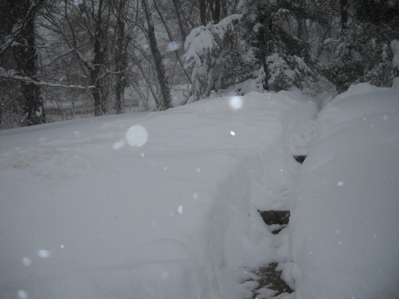 Blizzard of February 2010