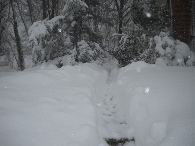 Blizzard of February 2010