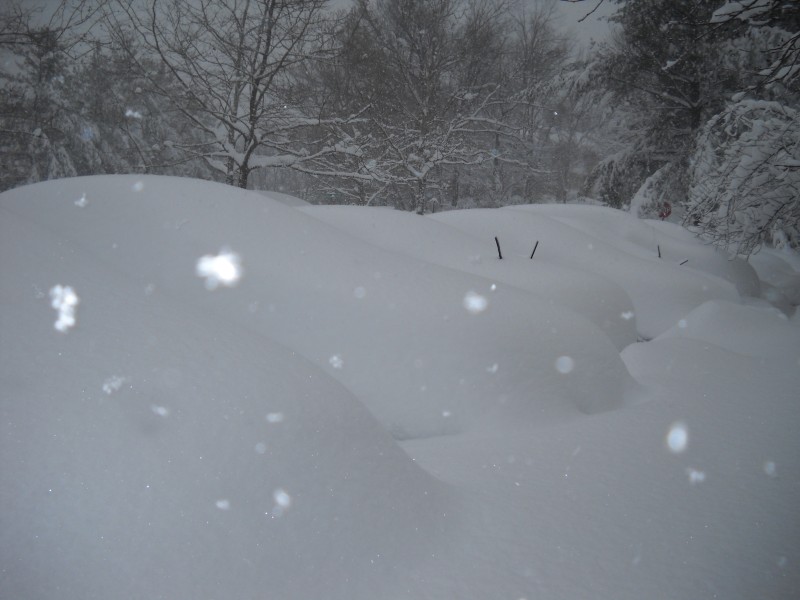 Blizzard of February 2010