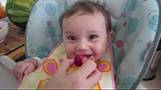Gnawing on a strawberry